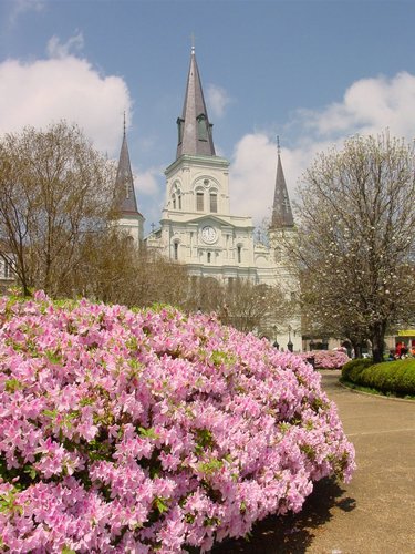 DSC06680NewOrleansKatedralOgBlomstring.JPG