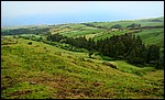 DSC00655SaoMiguelKulandetPortugal.JPG