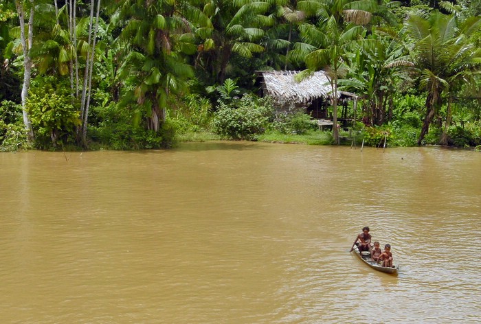 DSC01983AmazonasTeoretiskParadis.JPG