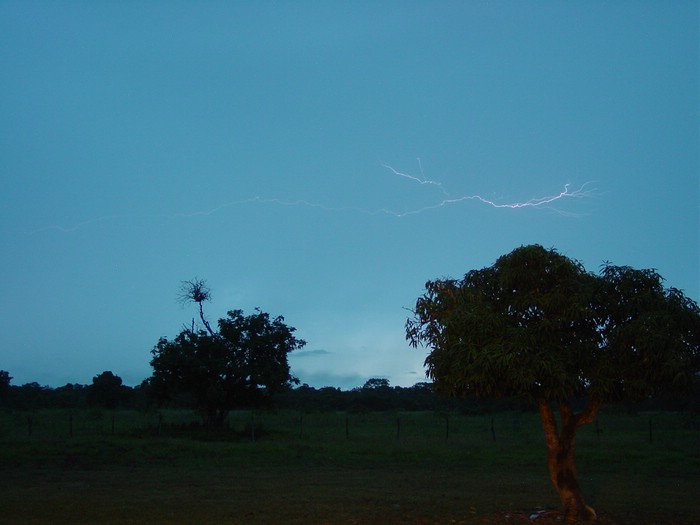 DSC02101Pantanal1EkteBildeAvEtLyn.JPG