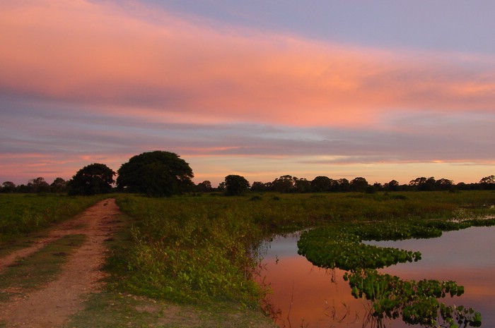 DSC02227Pantanal2FinVeiOgVanngreie.JPG