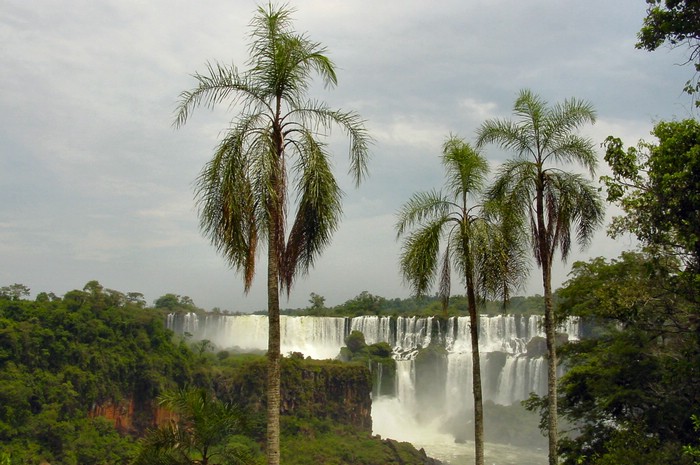 DSC02405IguazuTropiskFosseland.JPG