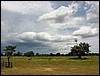 DSC02082Pantanal1HimmelOgGaard.JPG