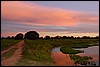 DSC02227Pantanal2FinVeiOgVanngreie.JPG