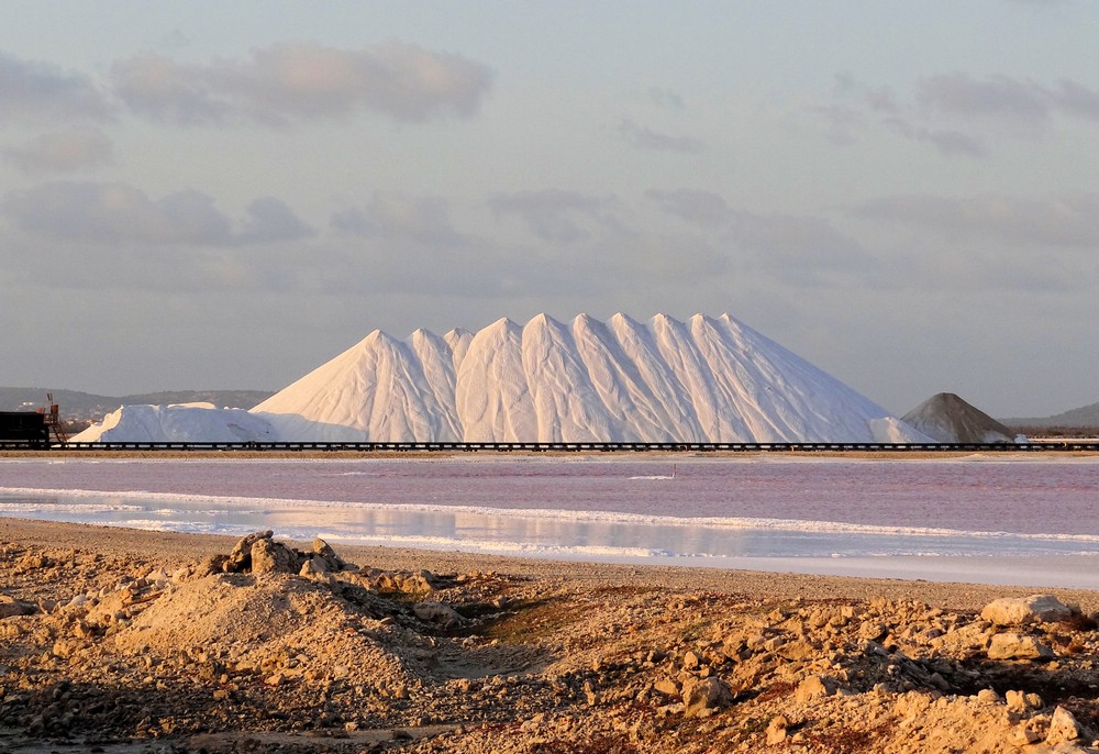 DSC03424BonaireFjelltakkesalt.JPG