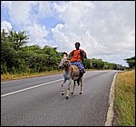 DSC02726CuracaoFraSkolenMedEsel.JPG