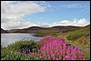 DSC00603IfjordGammelveienOverFjellet.JPG