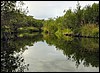 DSC00716StabbursnesRoligKrokVedVannet.JPG