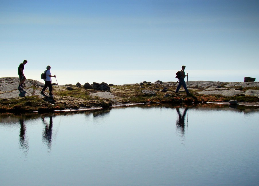 DSC03701KjorsvikFjellvandring.JPG