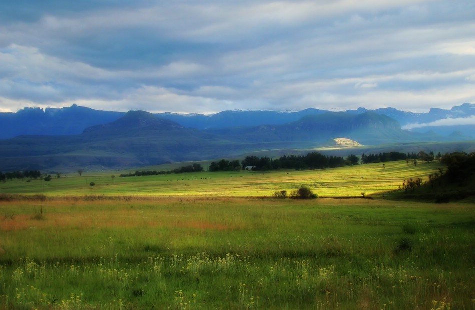 DSC09779AmfiDrakensland.JPG