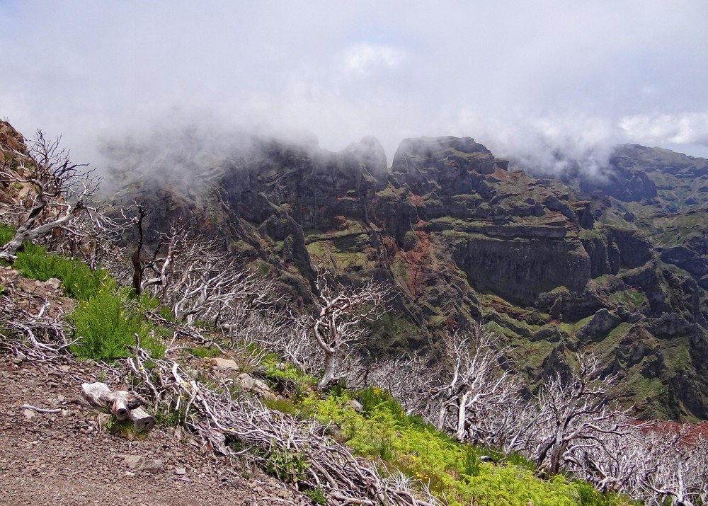 DSC06022FargerOgTaake.JPG