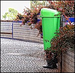 DSC04918Soeppelfoetter.JPG