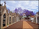 DSC04933LillaITraerne.JPG