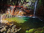 DSC05766FintMedFoss.JPG