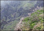 DSC05990FjellMedStiPaa.JPG