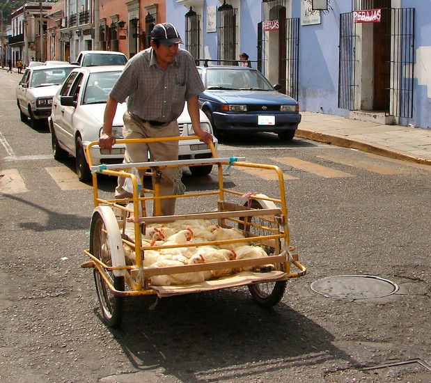 DSC05065OaxacaChickenBusv2.JPG