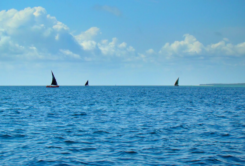 DSC10607BasaIndianOceanAndDhows.JPG