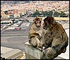 DSC01180GibraltarPlanespotters.JPG