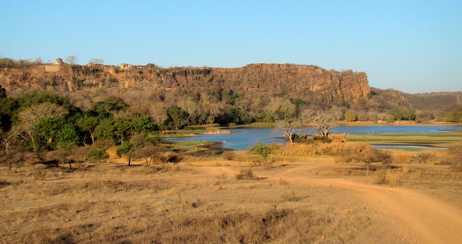 DSC04474RanthamboreOestForForthoeyden.JPG