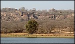 DSC04566RanthamboreEdensk.JPG