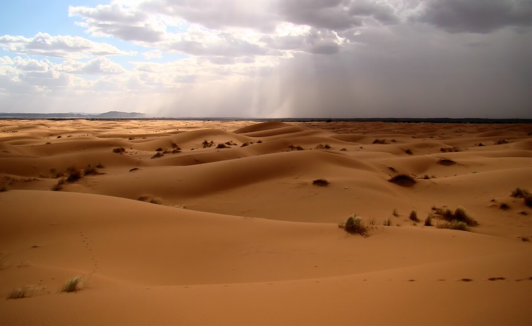 DSC07103MerzougaSandveggBortiDer.JPG