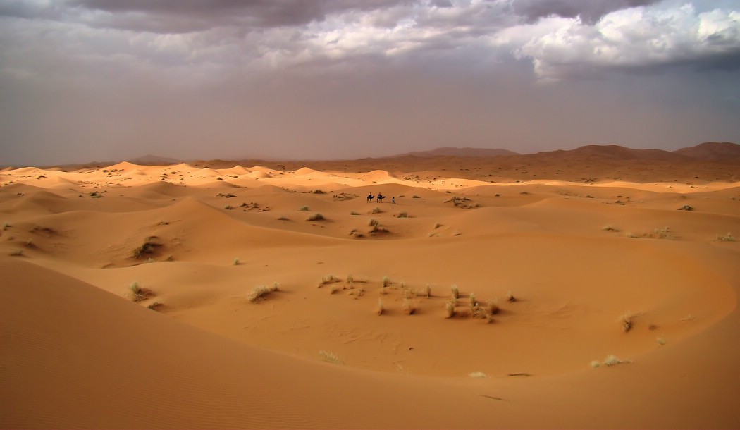 DSC07113MerzougaDromedarturIStorm.JPG