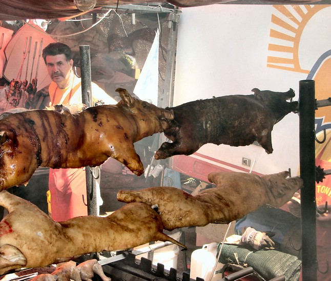 DSC01375SassariDoedeDyrTilSalgs.JPG