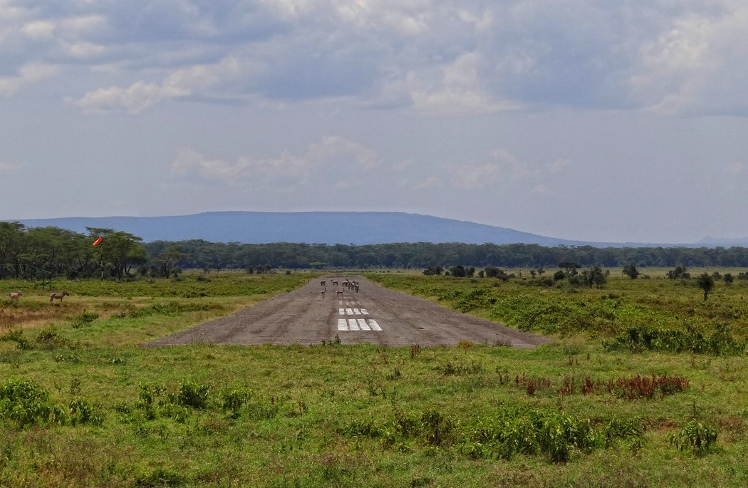 DSC07269NakuruAbortLanding.JPG