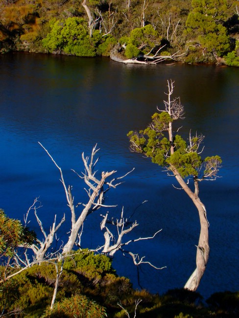 DSC07839CradleMountainWombatPool.JPG