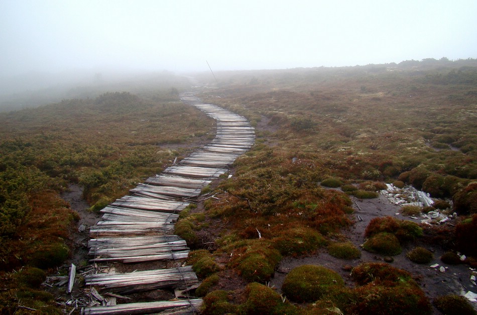 DSC07873CradleMountainPathToNowhere.JPG