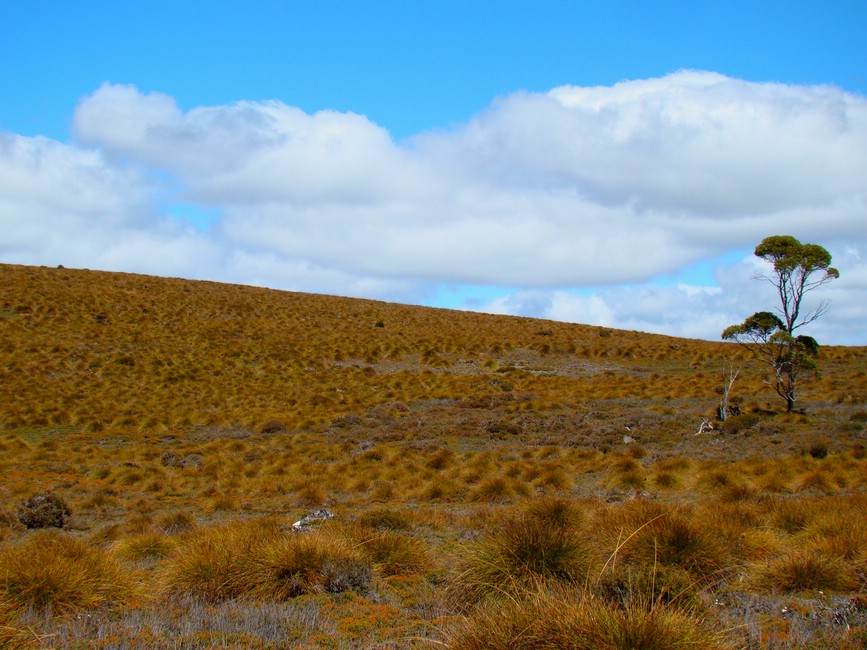 DSC07987OverlandSpesieltLandskap.JPG