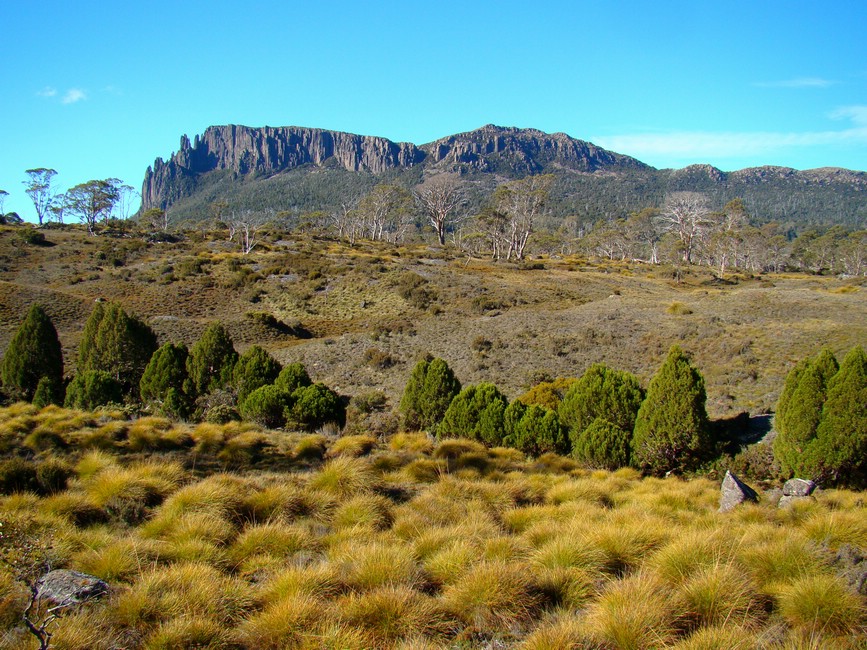 DSC08188PelionFintPaaPelionPlains.JPG