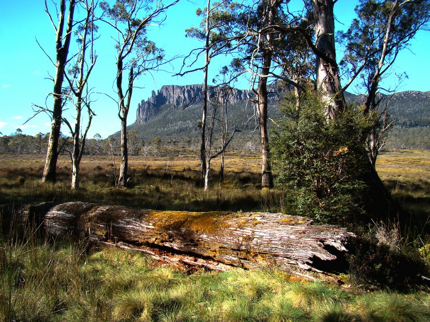 DSC08191PelionMtOakleighFraSkogen.JPG