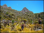 DSC07738CradleMountainAlienish.JPG