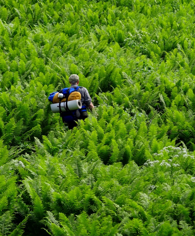 DSC01453RohkunKampMotNaturen.JPG