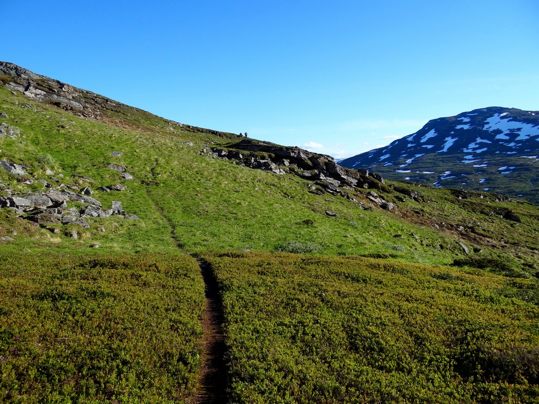 DSC01598RohkunFinfinFjellsti.JPG