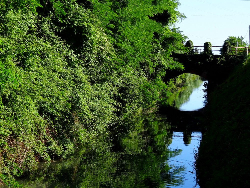 DSC03777LuniGjengroendeKanal.JPG