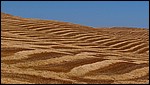 DSC04736CastiglioneRoedtZebraland.JPG