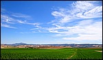 DSC04973SforzescaGroentMoeterBlaatt.JPG