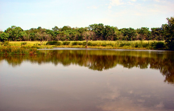 DSC07600KiangWestBavianvannet.JPG