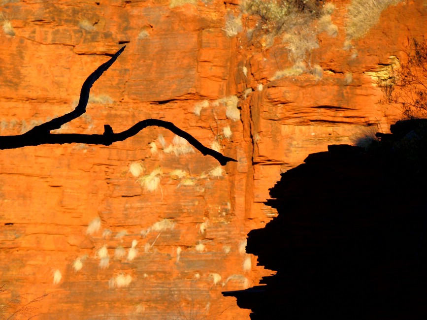 DSC04670KarijiniGreinOgStein.JPG