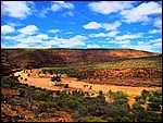 DSC03557KalbarriLoopFargerike.JPG