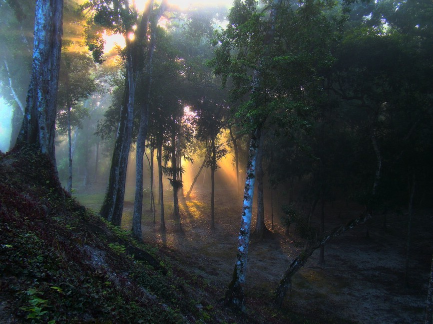 DSC03239TikalTrylleskog.JPG