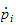$\dot{p}_{i}$