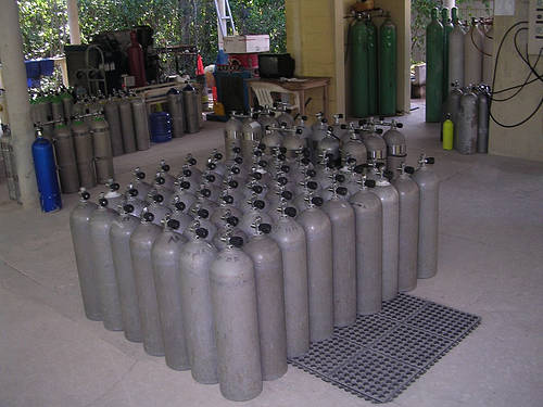 DSCN1514.JPG