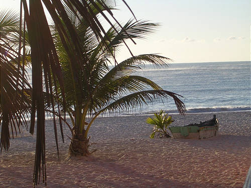 DSCN1565.JPG