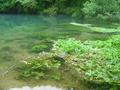 DSC00280.jpg