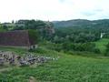 DSC00302.jpg