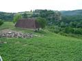 DSC00303.jpg