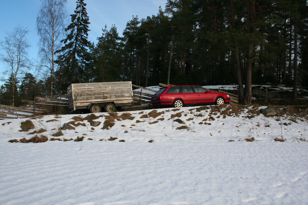 web_img_3407